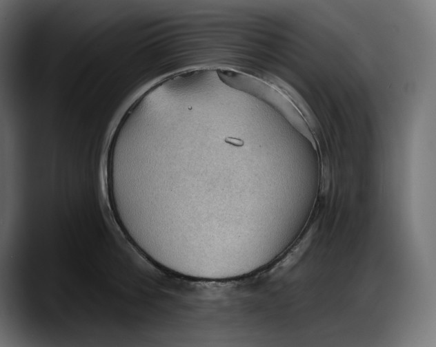 X0000087740812200705291011