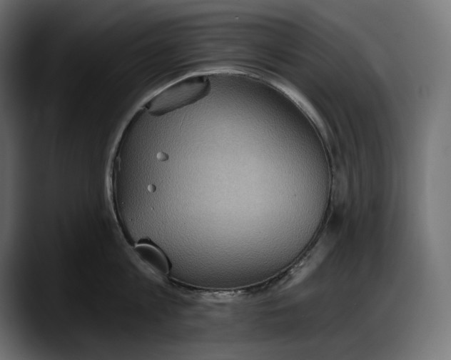 X0000087740813200705291011
