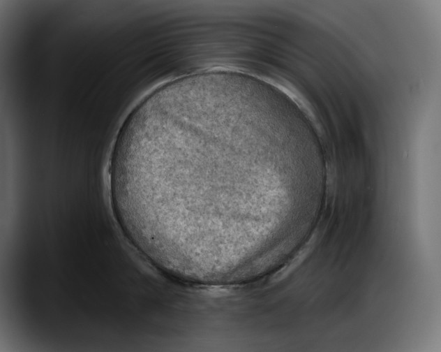 X0000087740814200705291011