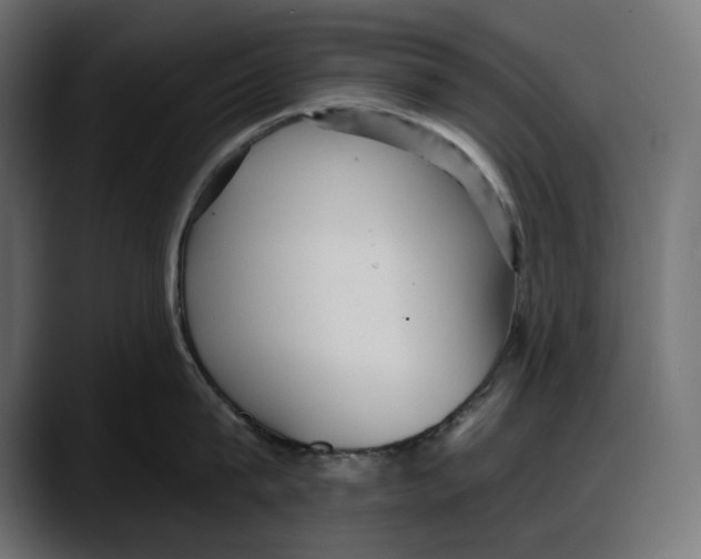 X0000087740815200705291011