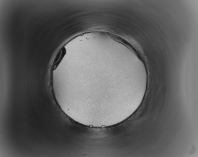 X0000087740816200705291011