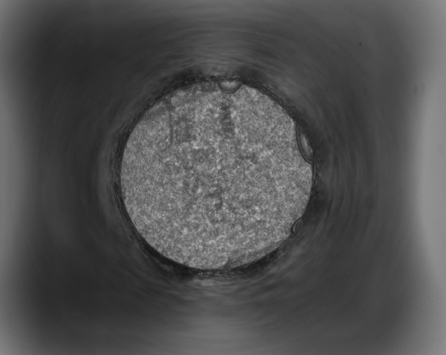 X0000087740817200705291011