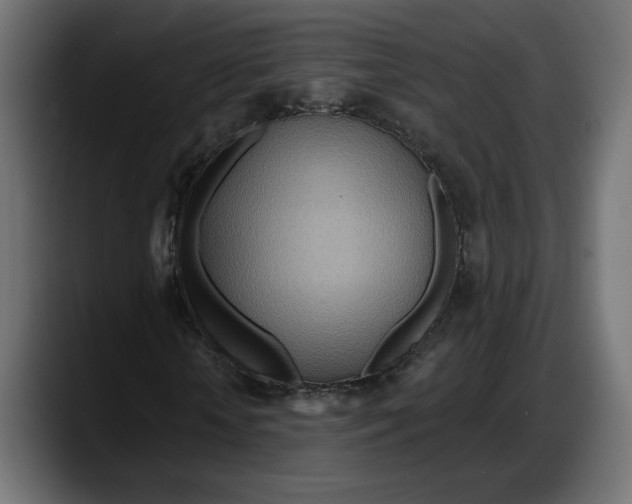 X0000087740818200705291011