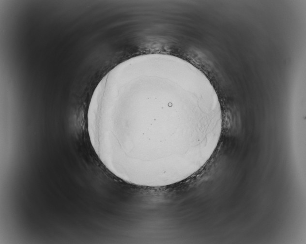 X0000087740820200705291011