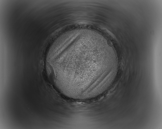 X0000087740821200705291011
