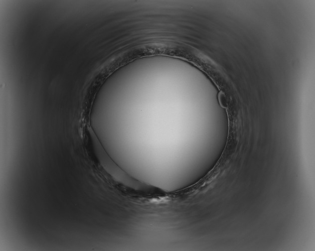 X0000087740822200705291011