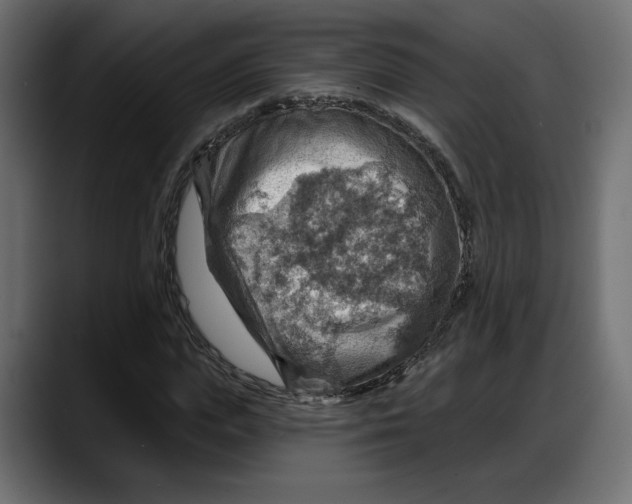 X0000087740823200705291011