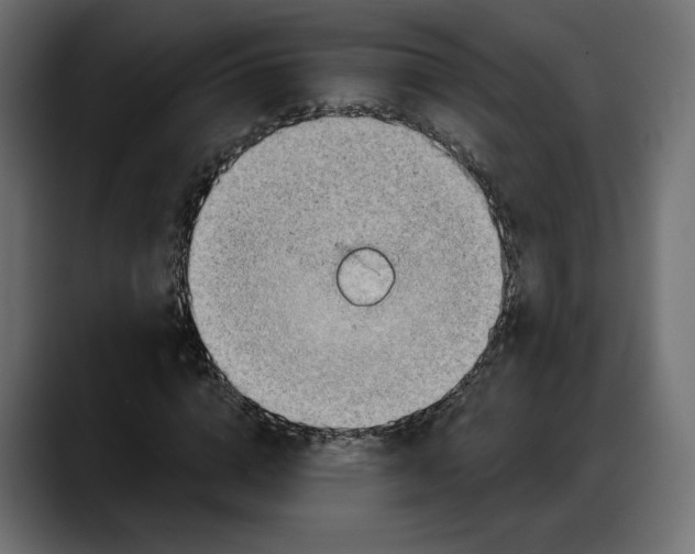 X0000087740824200705291011