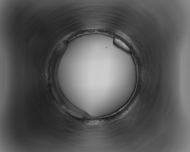 X0000087740826200705291011