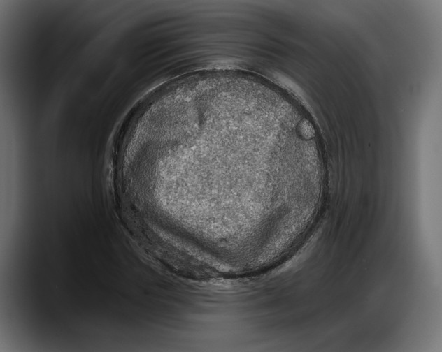X0000087740827200705291011