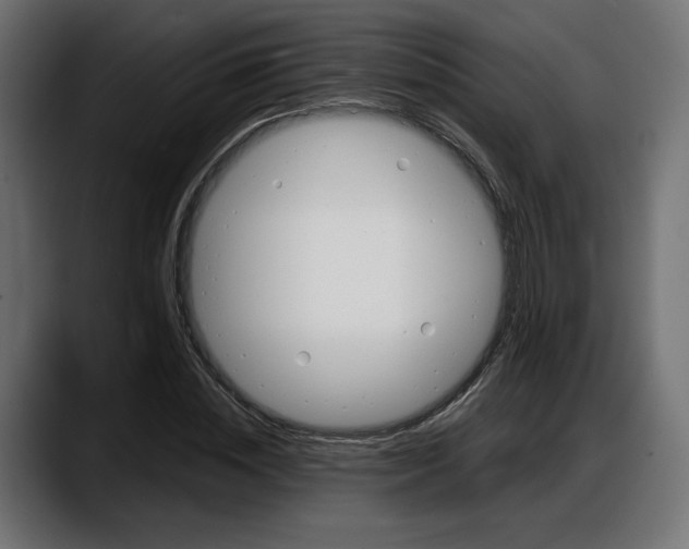 X0000087740828200705291011