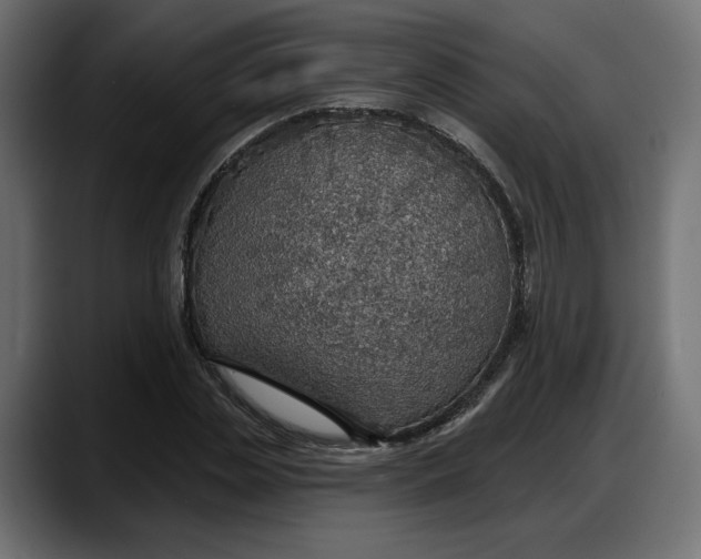 X0000087740829200705291011