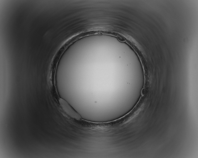 X0000087740830200705291011