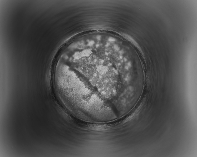 X0000087740831200705291011