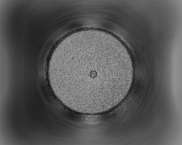 X0000087740832200705291011