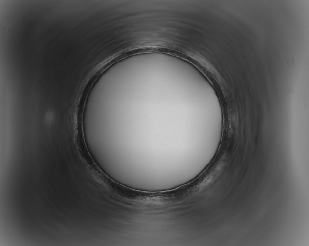 X0000087740834200705291011