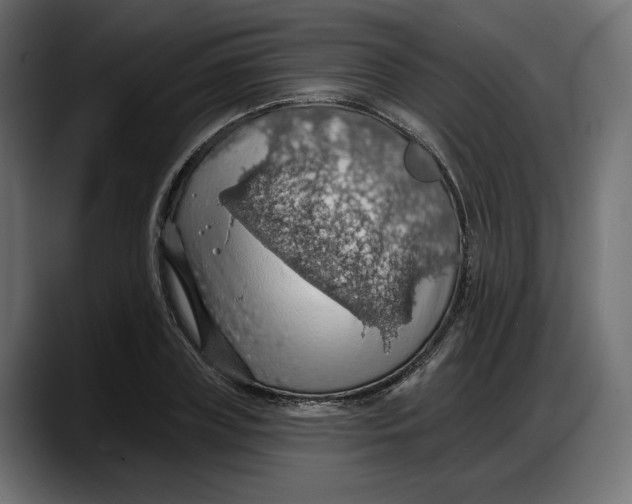 X0000087740835200705291011