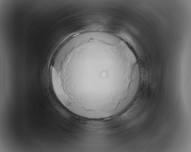 X0000087740836200705291011