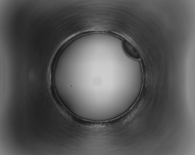X0000087740838200705291011