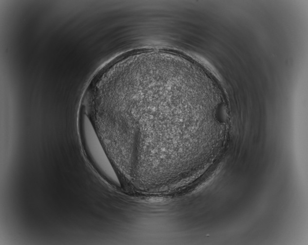 X0000087740839200705291011