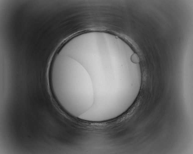 X0000087740840200705291011