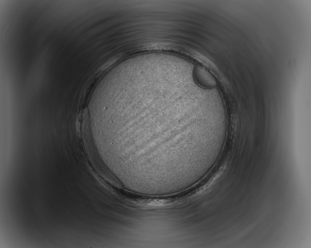 X0000087740841200705291011