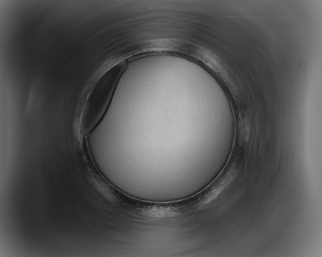 X0000087740842200705291011