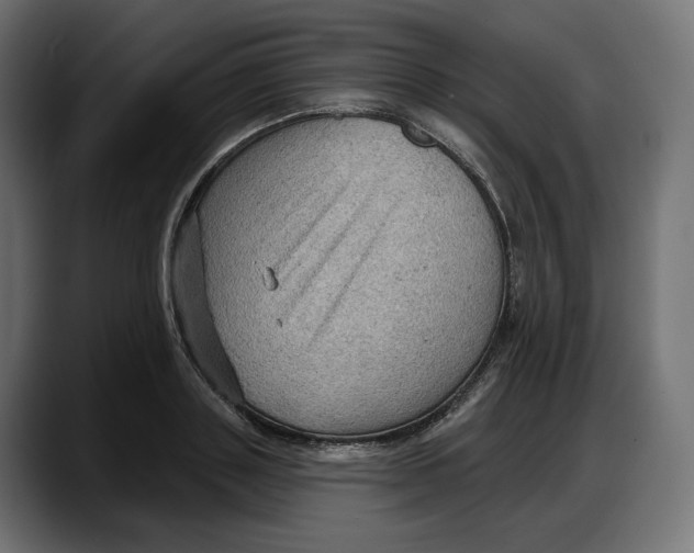 X0000087740843200705291011