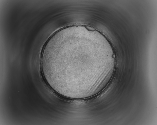 X0000087740844200705291011