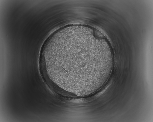 X0000087740845200705291011