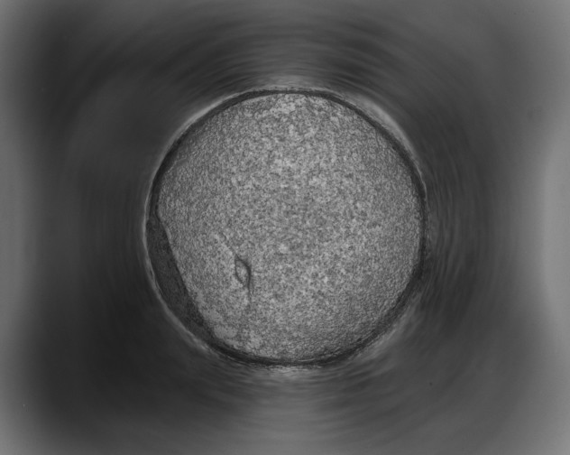 X0000087740847200705291011