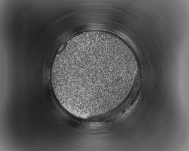 X0000087740849200705291011