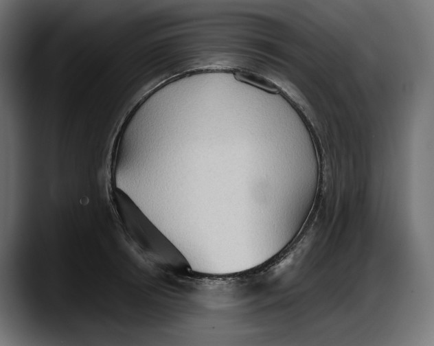 X0000087740850200705291011