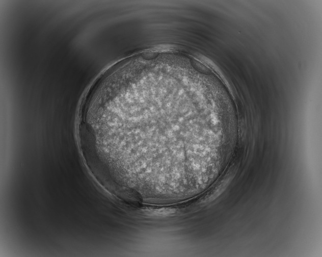 X0000087740851200705291011