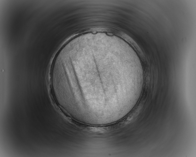 X0000087740852200705291011