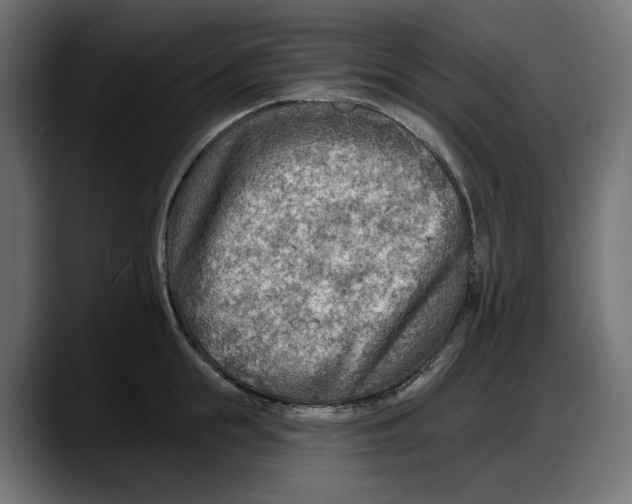 X0000087740855200705291011