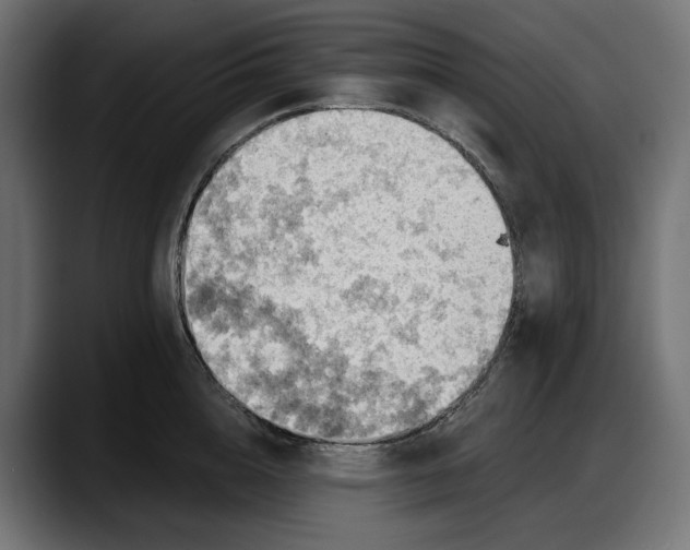 X0000087740856200705291011