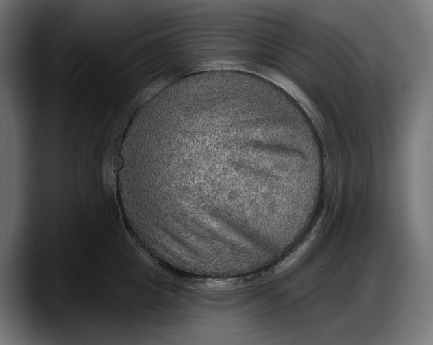 X0000087740857200705291011
