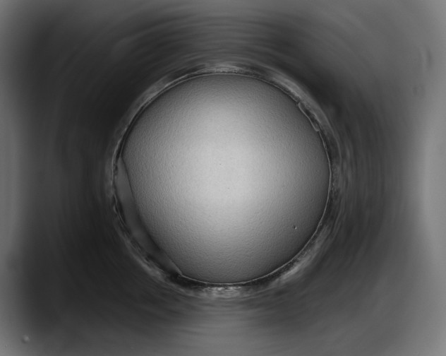 X0000087740858200705291011