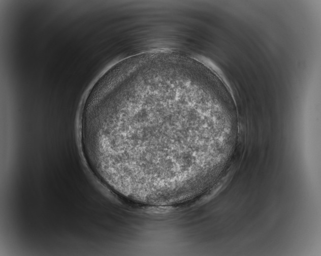 X0000087740859200705291011