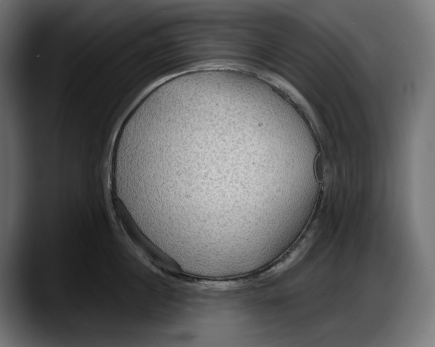 X0000087740860200705291011