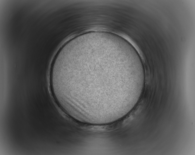 X0000087740861200705291011