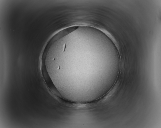 X0000087740862200705291011