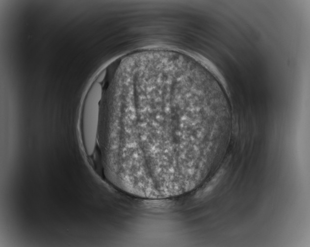 X0000087740863200705291011