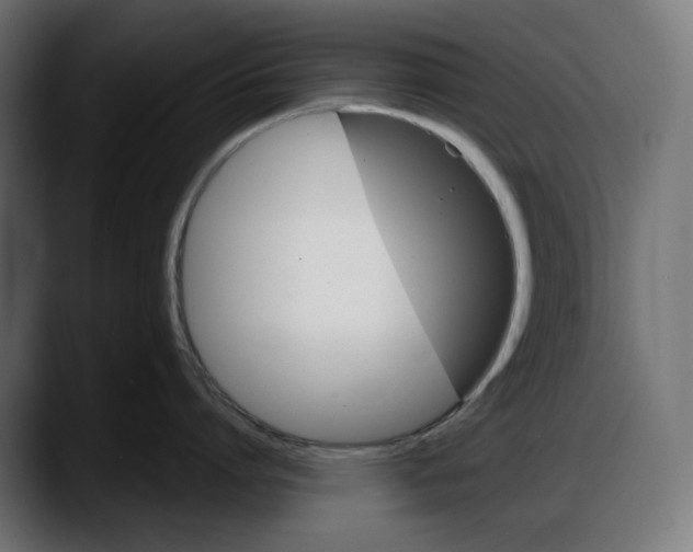 X0000087740864200705291011