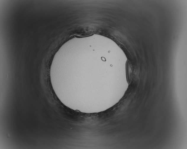 X0000087740865200705291011