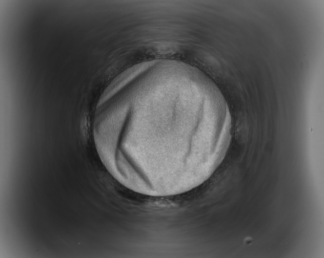 X0000087740866200705291011