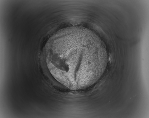 X0000087740867200705291011