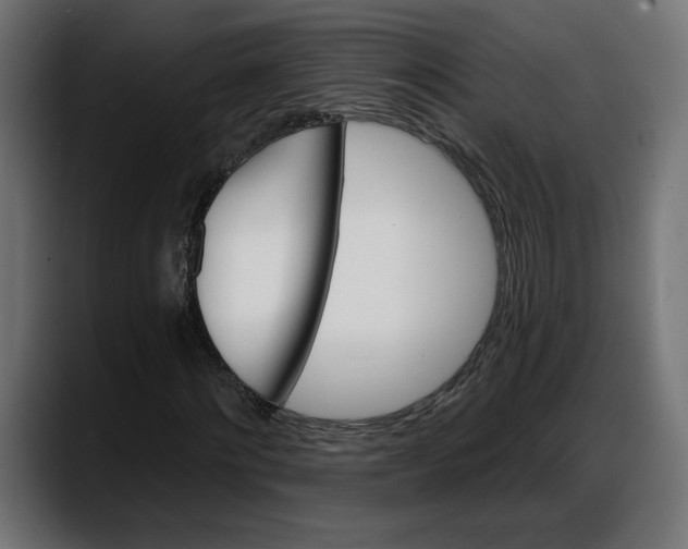 X0000087740868200705291011