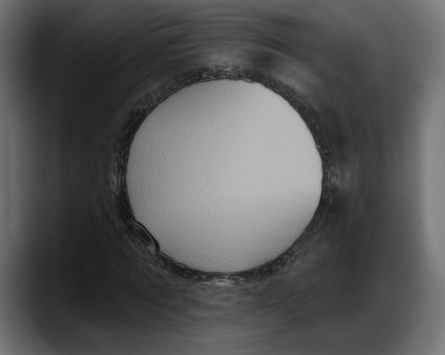X0000087740869200705291011